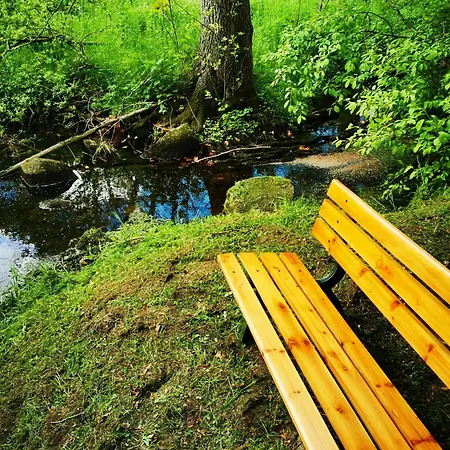 Lejlighed Selker Noor 135 Qm - Naturpark 1,4 Ha Und Private Sonnenterrasse